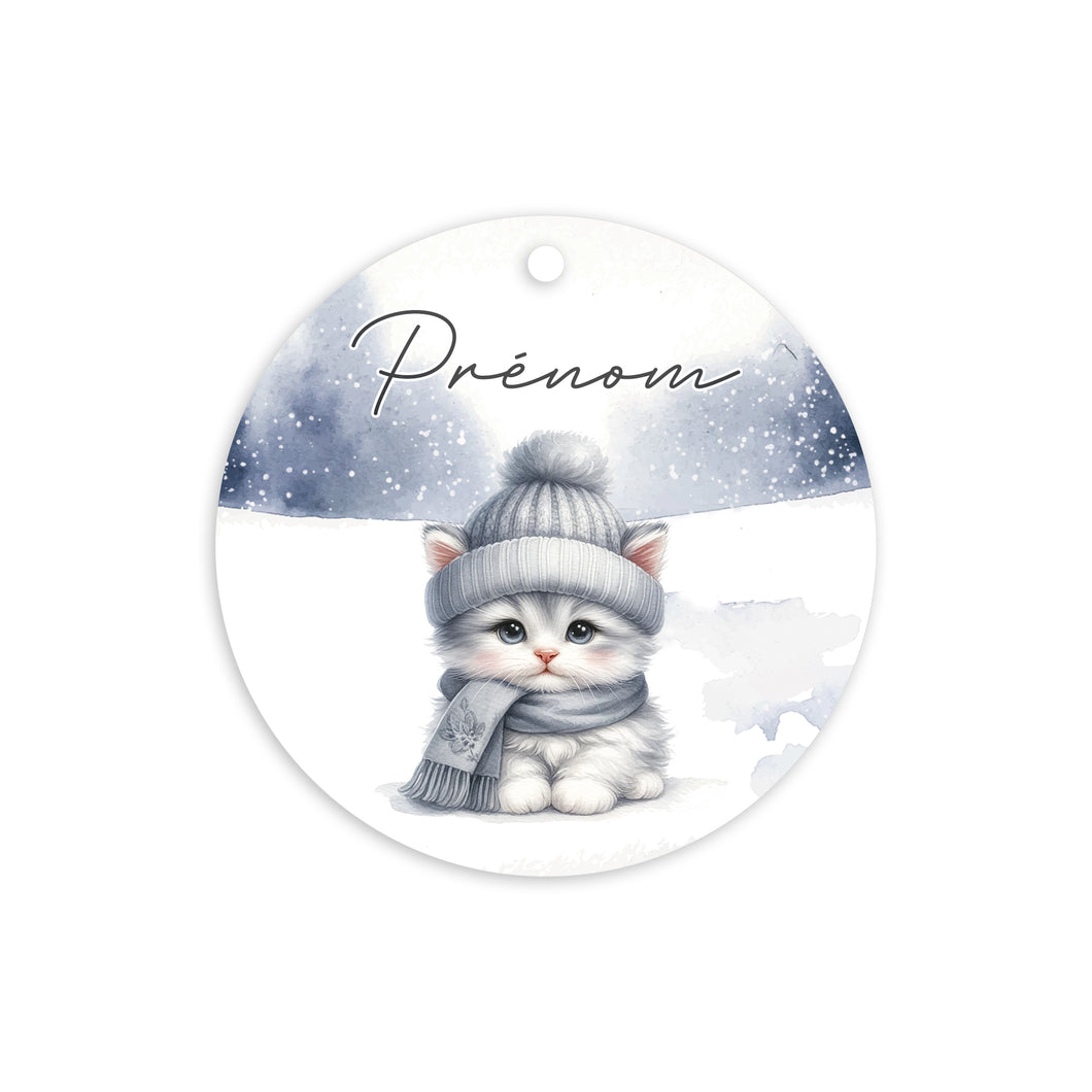 Boule plate | Chat | Fond Ciel